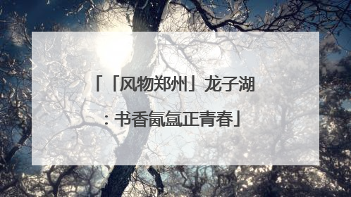 「风物郑州」龙子湖：书香氤氲正青春